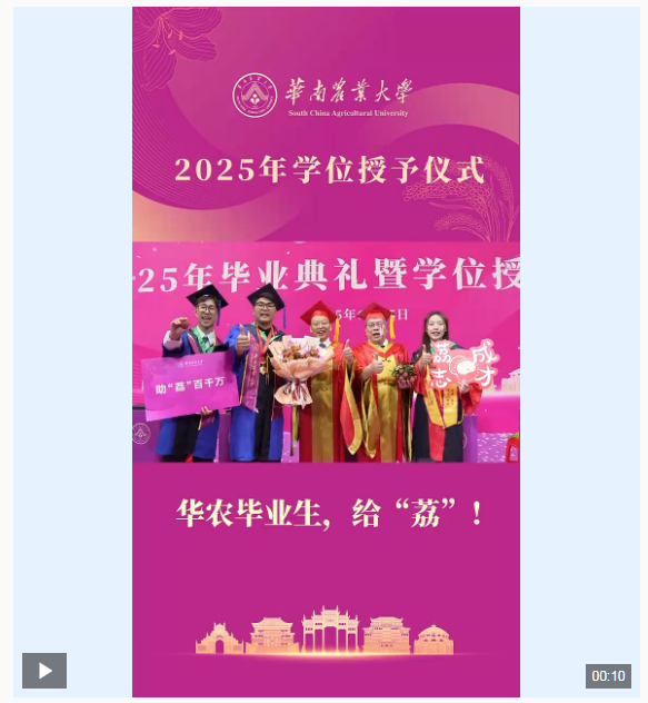 1750945202453607.png image.png